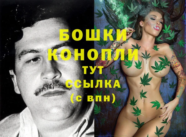 трава Армянск