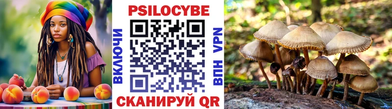 Галлюциногенные грибы мицелий  наркота  Чистополь 